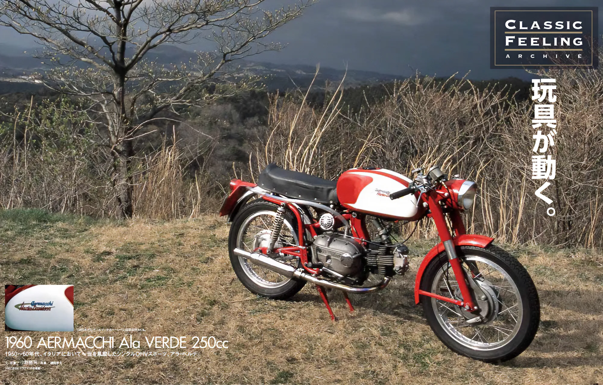 【CLASSIC FEELING archive】 1960 AERMACCHI Ala VERDE 250cc